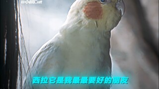 “小时候的意难平，现在也是......”
