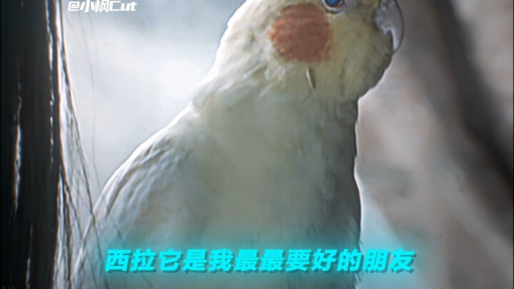 “小时候的意难平，现在也是......”