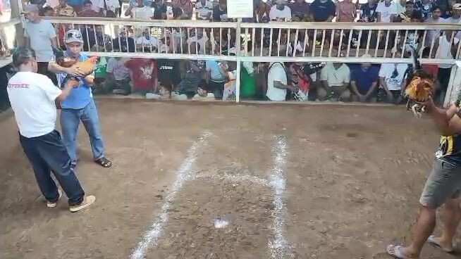 na 7/10 c bulik, mganda kc kalaban, pro knaya ni bulik💪