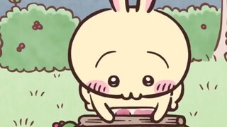 Peringkat popularitas karakter Chiikawa di Jepang terungkap!