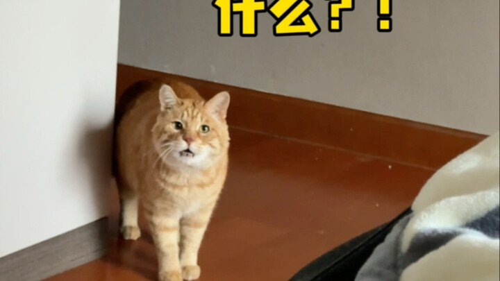 Mẹ hiểu ý con, nhưng mẹ không thể.