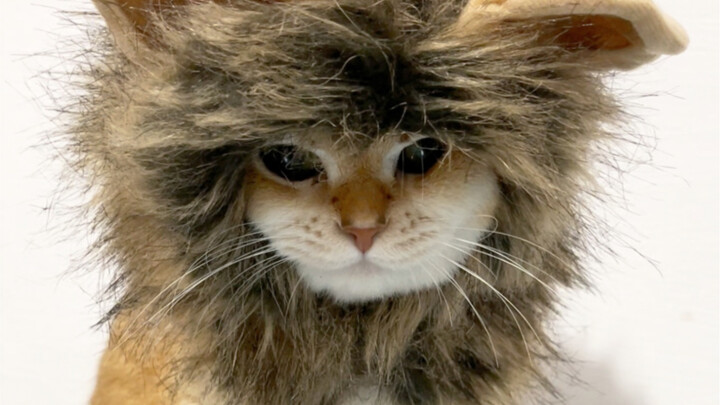 I was supposed to have a drink with my dad, but I didn’t manage to buy any alcohol. Instead, I ended