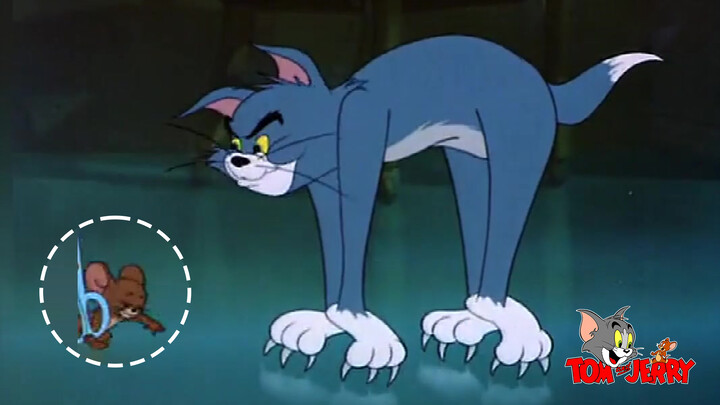 Tom and Jerry Parody With Various Punch Lines