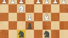 Italian Game & Evans Gambit