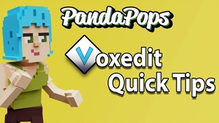 Pandapops VoxEdit Quick Tips - Collisions