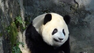 This is really not puffy