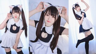 Pengaturan kucing adalah untuk selalu mencintai tuannya~❤【Fei Sauce】