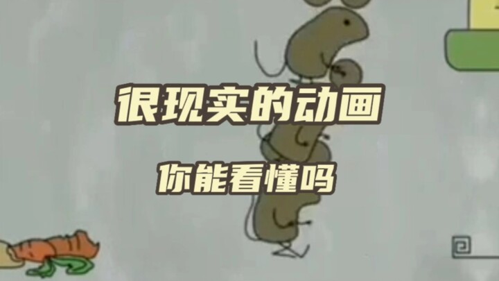 很现实的动画，你看懂了吗