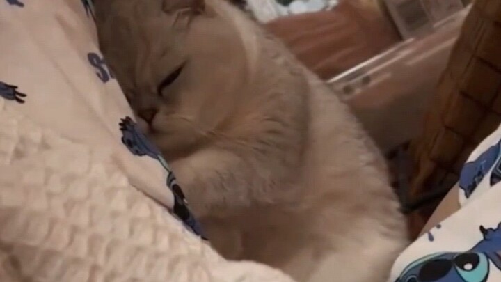 Nó thật yên tĩnh và ngoan quá!