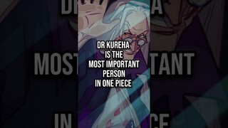The Most Important One Piece Character | #onepiece #luffy #anime