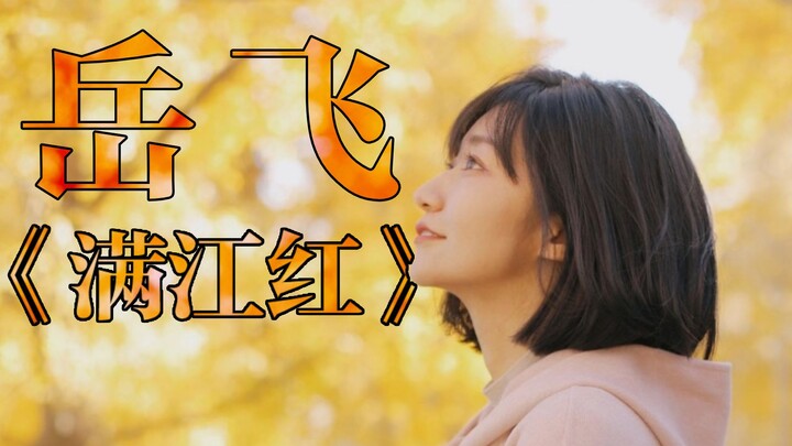 【Đô Lượng】“Mãn Giang Hồng” của Nhạc Phi: Một bài thơ đè bẹp cả hai triều Tống, từng chữ đều rực lửa 