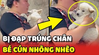 Bé cún "LÀM NŨNG" với bà ngoại như EM BÉ vì lỡ bị bà đạp trúng chân 😂 | Yêu Lu