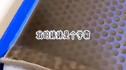 Trà Ngữ Suy Mộng #Nếu tình yêu không thể bước ra khỏi ký ức, hãy để em làm người tri kỷ của anh #Tìn