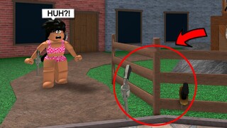 Scaring Toxic TEAMERS by being INVISIBLE..(Murder Mystery 2)