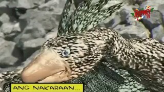 EPISODE 25 DA ADVENTURES OF PEDRO PENDUKO