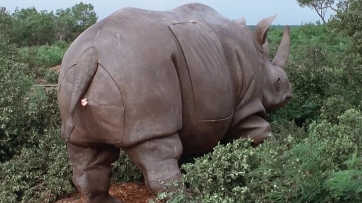 Cô bé: Chỉ vài chục giây ngắn ngủi nhưng tôi phải dùng cả đời để chữa lành.