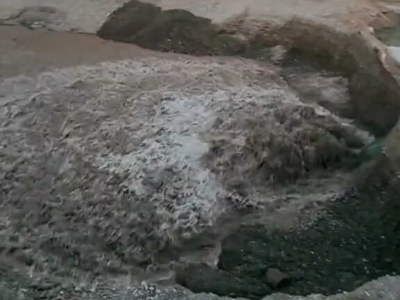 ปลา: วันนี้ยังไม่ได้รับประกาศย้ายบ้านเลยนะ