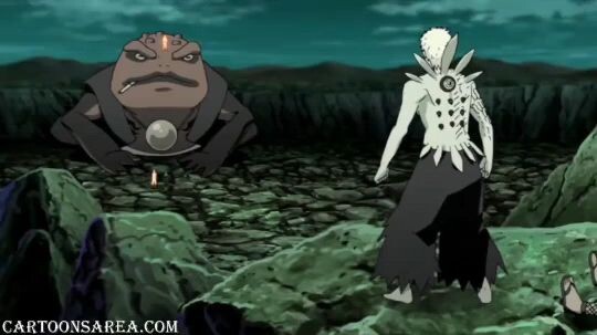 NARUTO SHIPPUDEN SHORTS