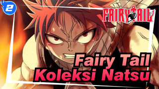 Fairy Tail|Koleksi Kombat Klasik Personal Natsu!_WB2