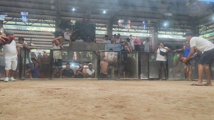 Bruce Barnett Sweater x Blueface Hatch