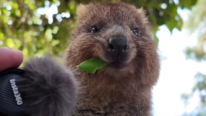 “Do I really just eat like this?”
