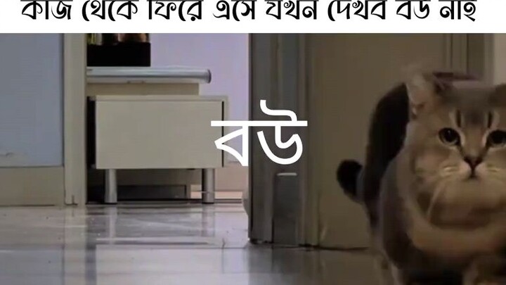 কাজ থেকে ফিরে এসে যখন দেখব ঘরে বউ নাই 🥺