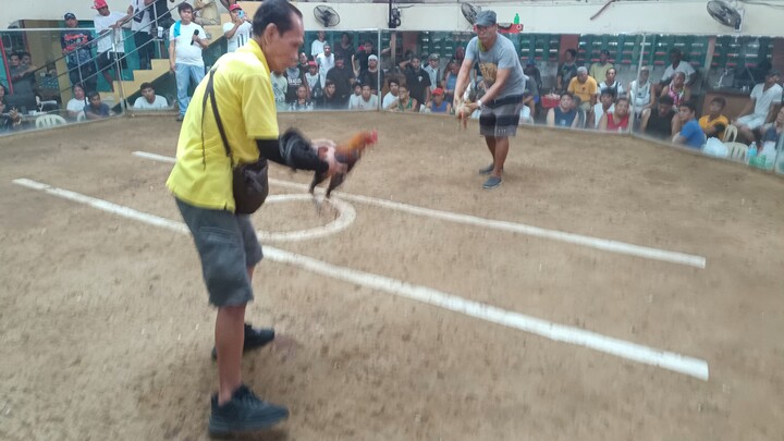 2hits.  1st fight win