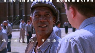 瑞德：“如果他用这个小锤子挖墙逃跑，估计得600年。”