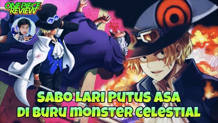 Sabo Lari Putus Asa Di Buru Monster Celestial Di Marijoa