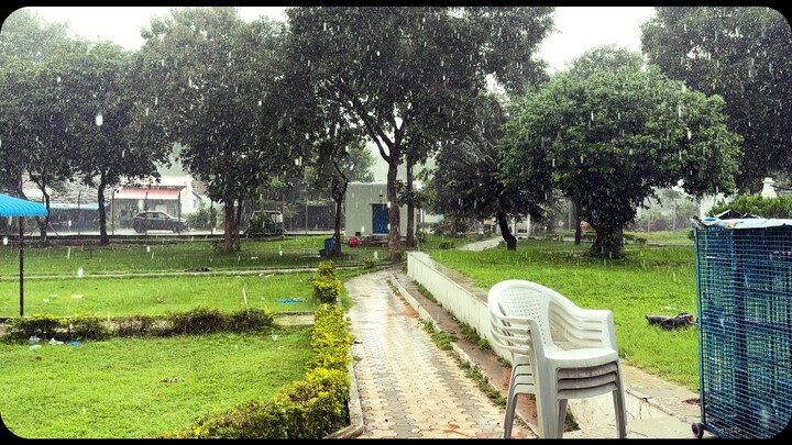 “Sometimes, Rain Is All You Need 🌧️🖤 | Needed This Badly”
