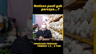 kapasitas produksi 1,5 sampai 2 ton perhari #shorts