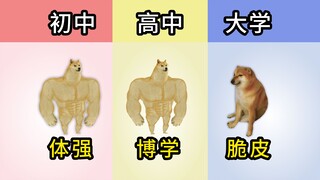 不同时期的能力巅峰