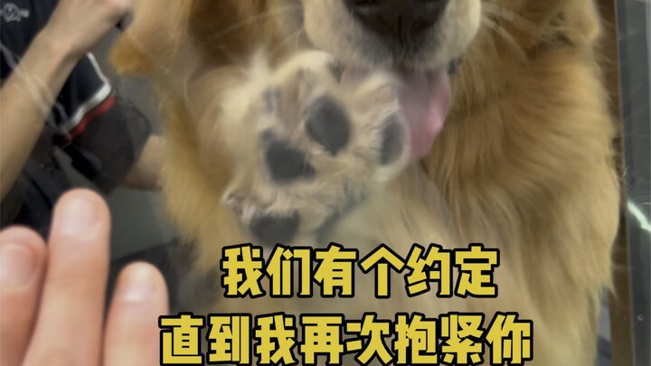 กลับบ้านแล้ว