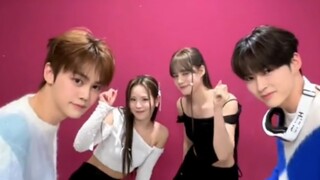 这四个看得我心软软！【NiziU x ZB1】《HEARTRIS＋Crush》challenge！