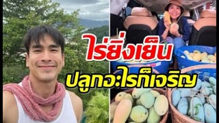 บุกสวนยิ่งเย็นของ ณเดชน์ เเม่เเก้ว ปลูกเเบบเงียบๆเเต่ผลิตไม่ธรรมดา
