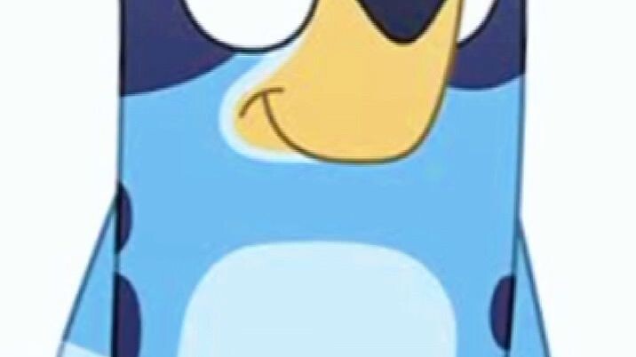@bluey