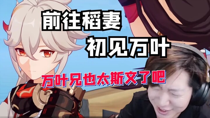 买房真君告诉了万叶元素力的秘密