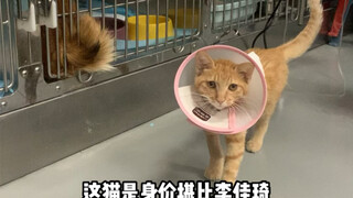 I hope I can still see you when you're spayed.