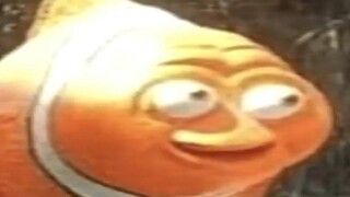 คุณหัวเราะคุณปลาโง่