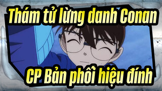 [Thám tử lừng danh Conan/CP Bản phối hiệu đính] Tình yêu trong bí mật chỉ là đơn phương