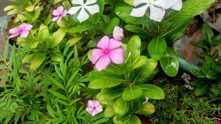 good morning everyone 🌞