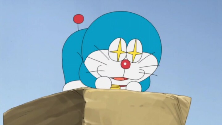 Little Dora the cat