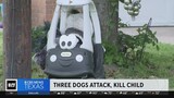 Three dogs attack, kill 1-year-old child in North Texas