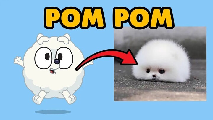 BLUEY Characters That Exist in Real Life
