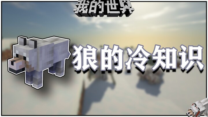 Kiến thức lạ về Minecraft: Chú sói mà bạn bè để lại bình luận nửa tháng đã xuất hiện!