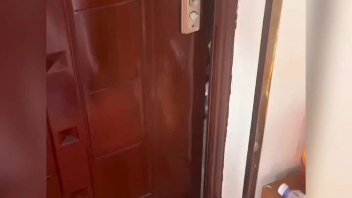 Nhân viên cửa hàng thú cưng: Bạn định mang về nuôi… đúng không?