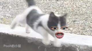 干你