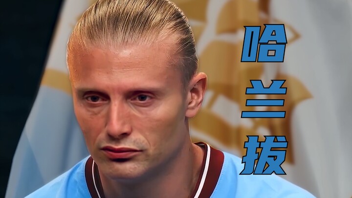 哈 兰 拔