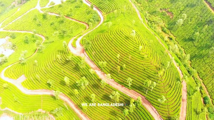welcome to bangladesh