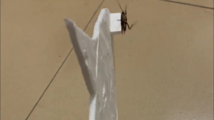 New energy electric cockroach aircraft